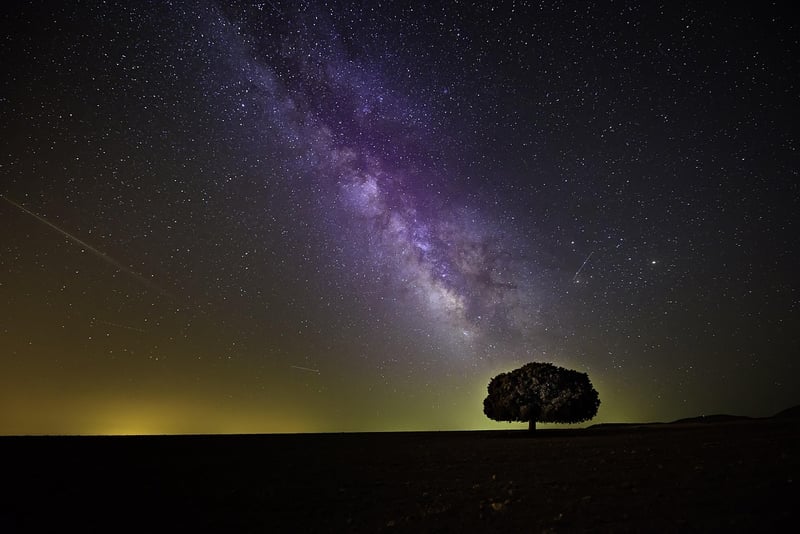 Celestial Skies Wedding